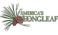 America's Longleaf Restoration Initiative America's Longleaf Restoration Initiative