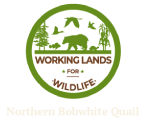 Northern Bobwhite Northern Bobwhite logo