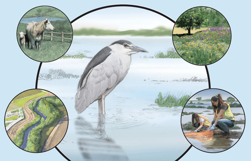 Landscape Partnership