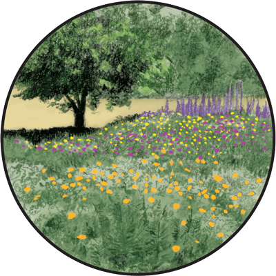 Landscape Partnership