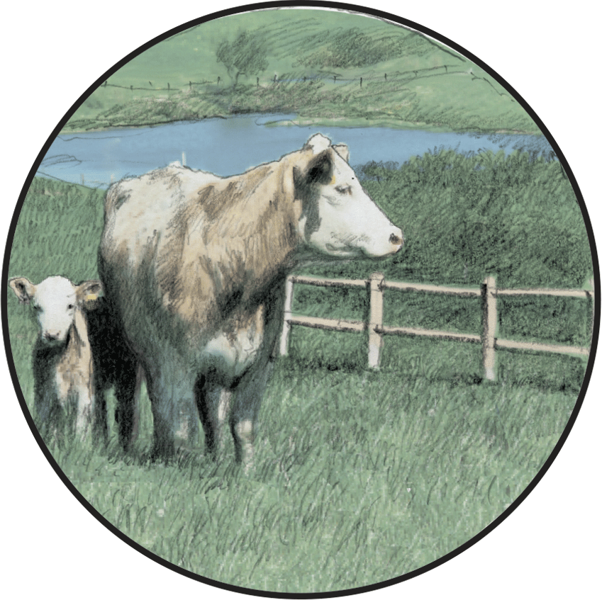 Landscape Partnership