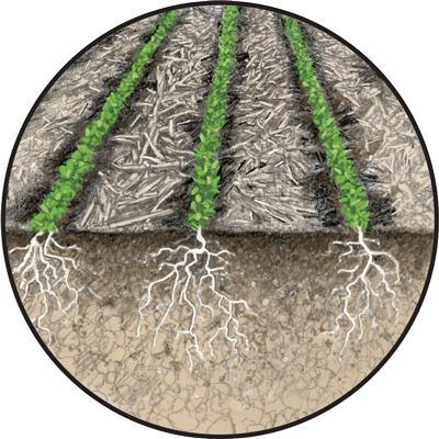 Landscape Partnership
