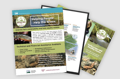 Landscape Partnership