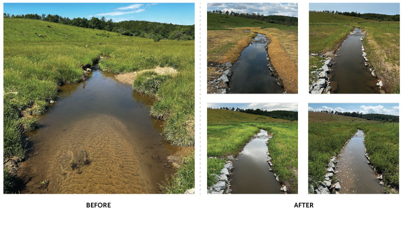 Landscape Partnership