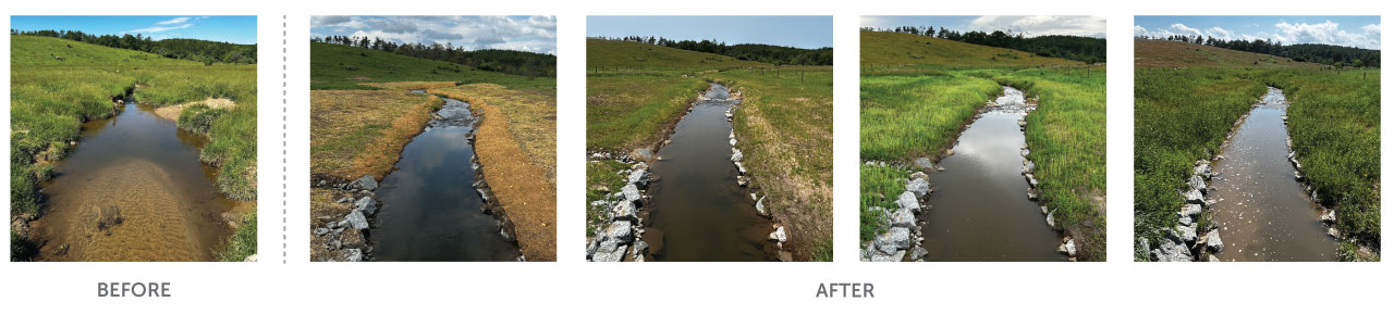 In June 2024, the USDA announced an unprecedented investment in WLFW, including the launch of an Aquatic Connectivity Framework. This ecosystem-level plan transitions WLFW’s aquatic efforts from single-species initiatives to a broader landscape-scale approach across 16 states. The written framework plan will capture the science documenting the threats to biomes and the wildlife that are part of them, the conservation actions that NRCS can support to address these threats and benefit producers, and the NRCS goals for implementing these actions over time. The framework also is a way to guide the work of NRCS state offices, provide technical and financial assistance for on the ground conservation, and influence local, state and federal conservation policies. 

