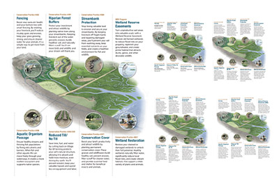 Landscape Partnership