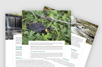 In June 2024, the USDA announced an unprecedented investment in WLFW, including the launch of an Aquatic Connectivity Framework. This ecosystem-level plan transitions WLFW’s aquatic efforts from single-species initiatives to a broader landscape-scale approach across 16 states. The written framework plan will capture the science documenting the threats to biomes and the wildlife that are part of them, the conservation actions that NRCS can support to address these threats and benefit producers, and the NRCS goals for implementing these actions over time. The framework also is a way to guide the work of NRCS state offices, provide technical and financial assistance for on the ground conservation, and influence local, state and federal conservation policies. 

