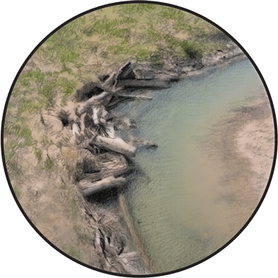 Landscape Partnership