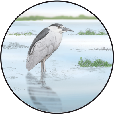 Landscape Partnership