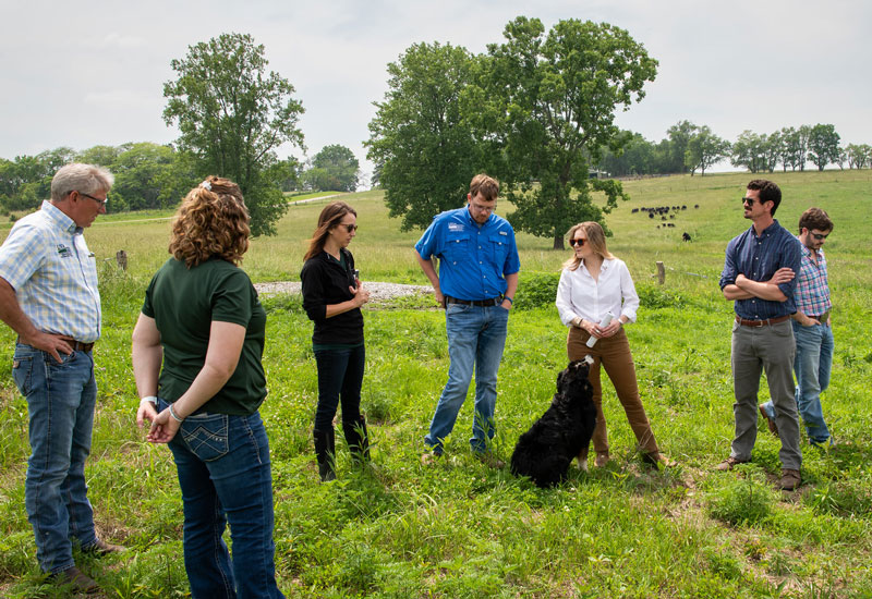 In June 2024, the USDA announced an unprecedented investment in WLFW, including the launch of an Aquatic Connectivity Framework. This ecosystem-level plan transitions WLFW’s aquatic efforts from single-species initiatives to a broader landscape-scale approach across 16 states. The written framework plan will capture the science documenting the threats to biomes and the wildlife that are part of them, the conservation actions that NRCS can support to address these threats and benefit producers, and the NRCS goals for implementing these actions over time. The framework also is a way to guide the work of NRCS state offices, provide technical and financial assistance for on the ground conservation, and influence local, state and federal conservation policies. 

