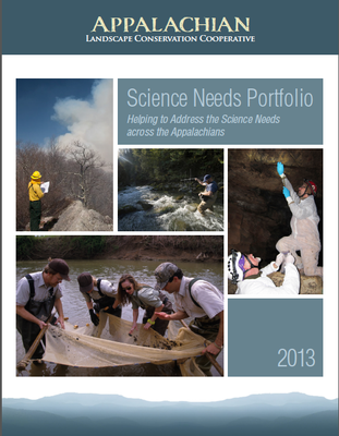 SN Portfolio Cover 2013