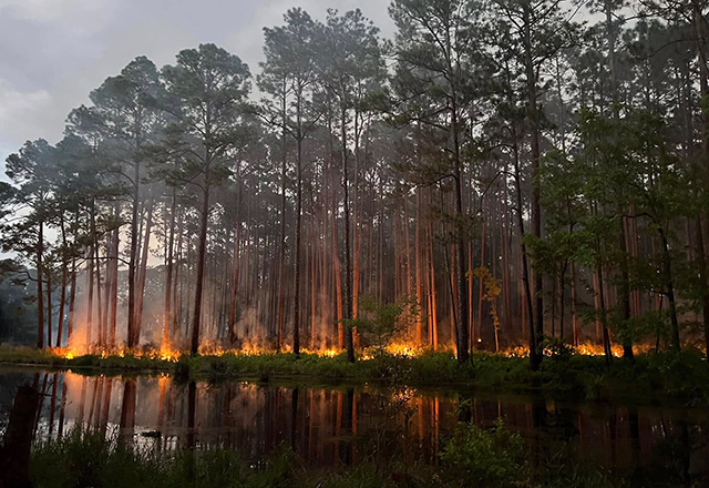 Southeast FireMap Academic Publications