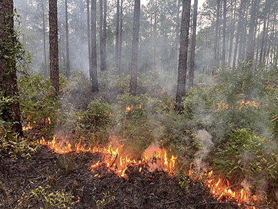 SE FireMap 1.0 Beta