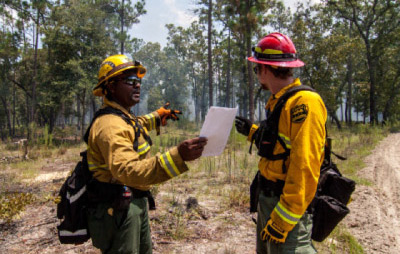 Landscape Partnership