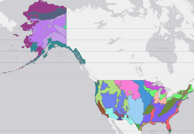 Interactive Map