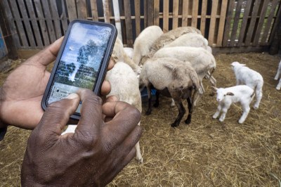 Dave Borrowes browses the Farmers.gov website