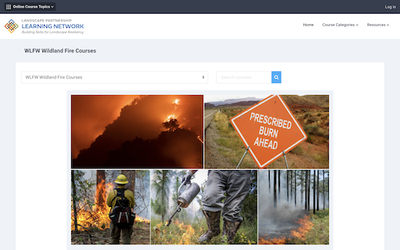 Training - Learning Network