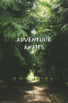 Adventure