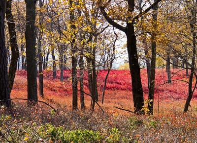 Delaware Water Gap_Jiashiang.jpg