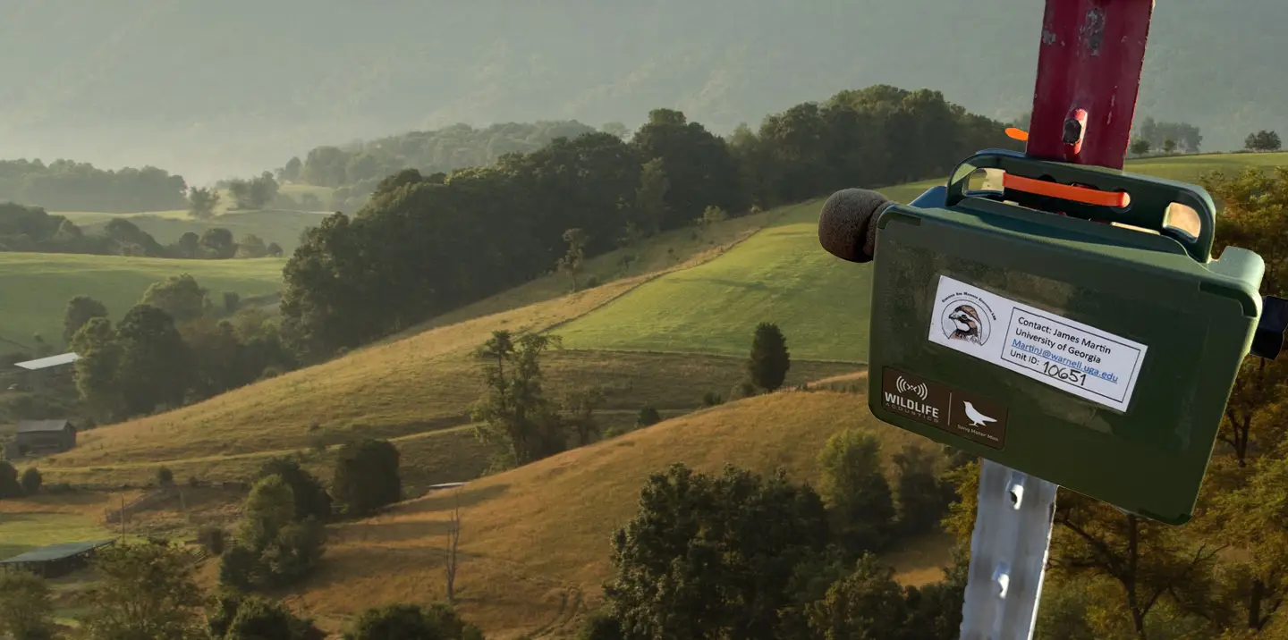 Birdlocale screenshot