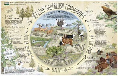 Healthy Sagebrush Communities Poster