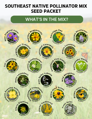 Southeast Native Pollinator Mix Seed Packet