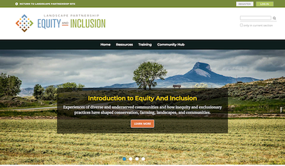 Equity & Inclusion