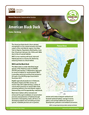Maryland Shallow Water Area Fact Sheet