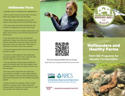 Hellbenders and Healthy Farms