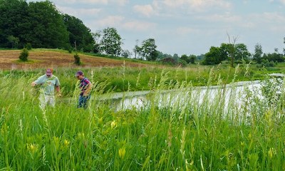 Goal Collection for Aquatics Framework 