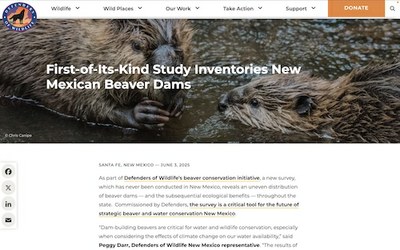 First-of-Its-Kind Study Inventories New Mexican Beaver Dams