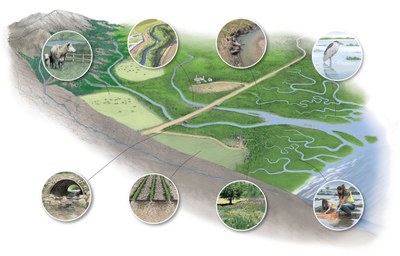 ACF Conservation Practices