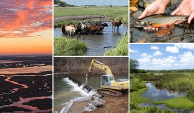 Aquatic Conservation Framework (ACF)