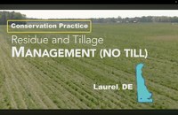Conservation Practice #345/329 Reduced Till/No Till - ACF Conservation Practices