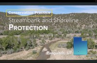 Conservation Practice #580 Streambank Protection - ACF Conservation Practices