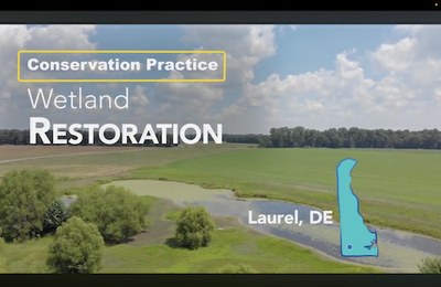 Conservation Practice #657 Wetland Restoration - ACF Conservation Practices