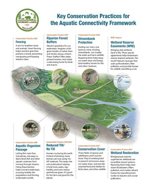 ACF General Public Graphic