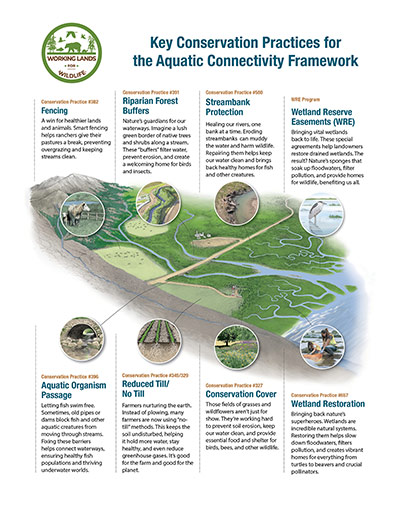 ACF General Public small