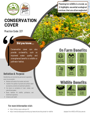 Conservation Cover