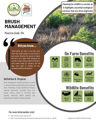 WLFW Northern Bobwhite, Grasslands, and Savanna Framework Citations