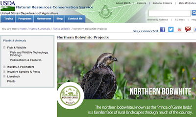 NRCS Conservation Practices & Materials