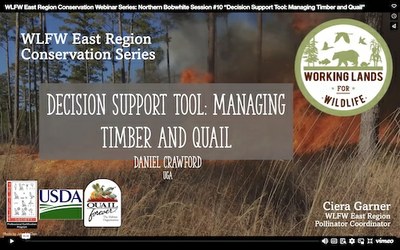 WLFW East Region Conservation Webinar Series: Northern Bobwhite Session #10 “Decision Support Tool: Managing Timber and Quail”