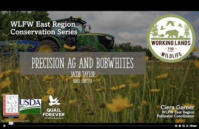 WLFW East Region Conservation Webinar Series: Northern Bobwhite Session #12 “Precision Ag and Bobwhites”