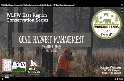 WLFW East Region Conservation Webinar Series: Northern Bobwhite Session #13 “Quail Harvest Management”