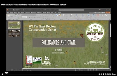 WLFW East Region Conservation Webinar Series: Northern Bobwhite Session #14 “Pollinators and Quail” 