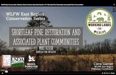 WLFW East Region Conservation Webinar Series: Northern Bobwhite Session #15 “Shortleaf Pine Restoration Associated Plant Communities"