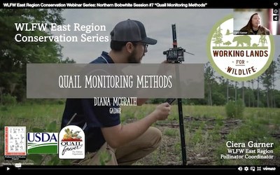 WLFW East Region Conservation Webinar Series: Northern Bobwhite Session #7 “Quail Monitoring Methods”