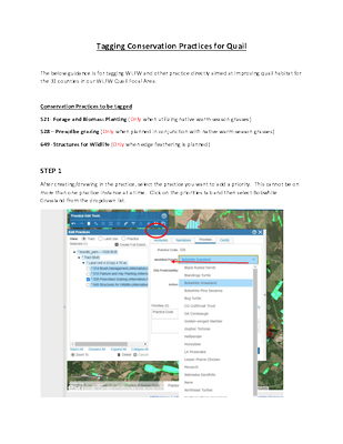 Improvement for Identifying WLFW-Northern bobwhite in CD