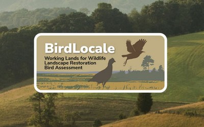 BirdLocale