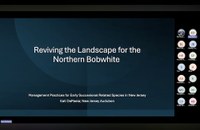 Wildlife Wednesdays Webinar Series: Northern Bobwhite Quail Ecology & Conservation